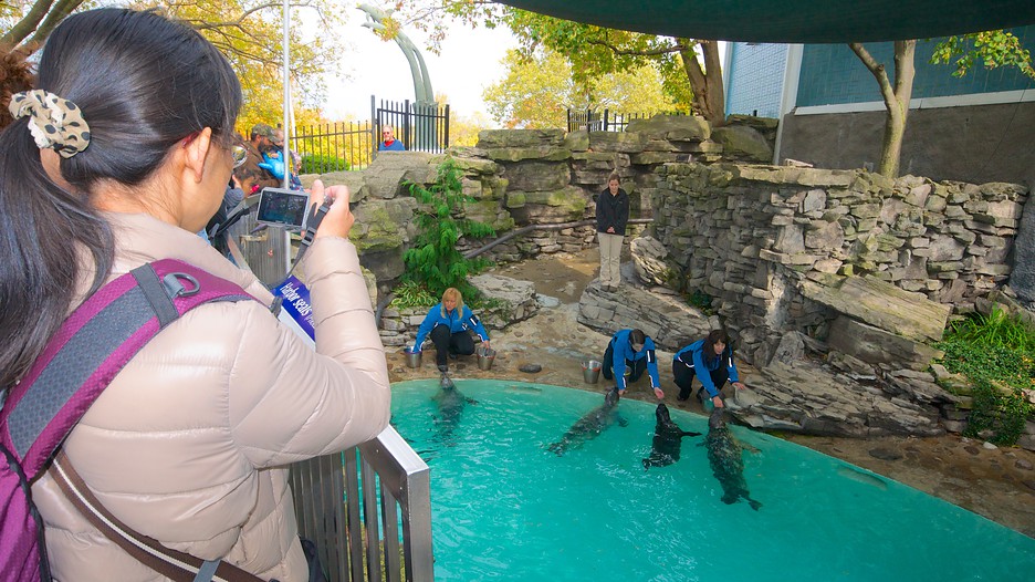 Aquarium of Niagara in Niagara Falls, New York Expedia