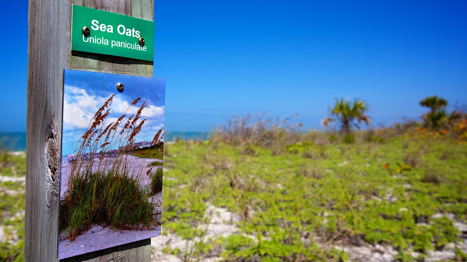 Barefoot Beach in Naples, Florida | Expedia