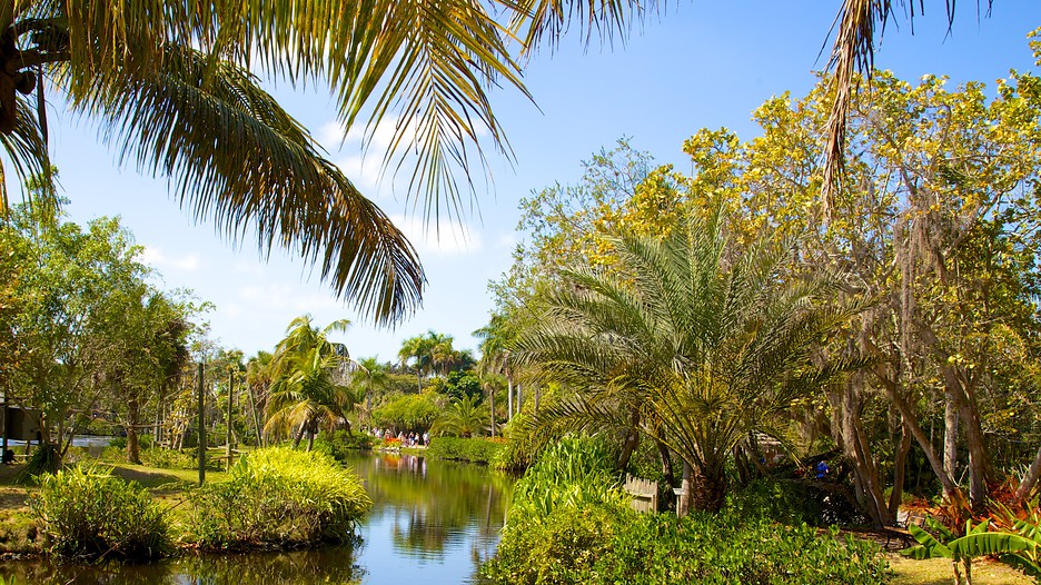 Naples Zoo at Caribbean Gardens in Naples, Florida Expedia
