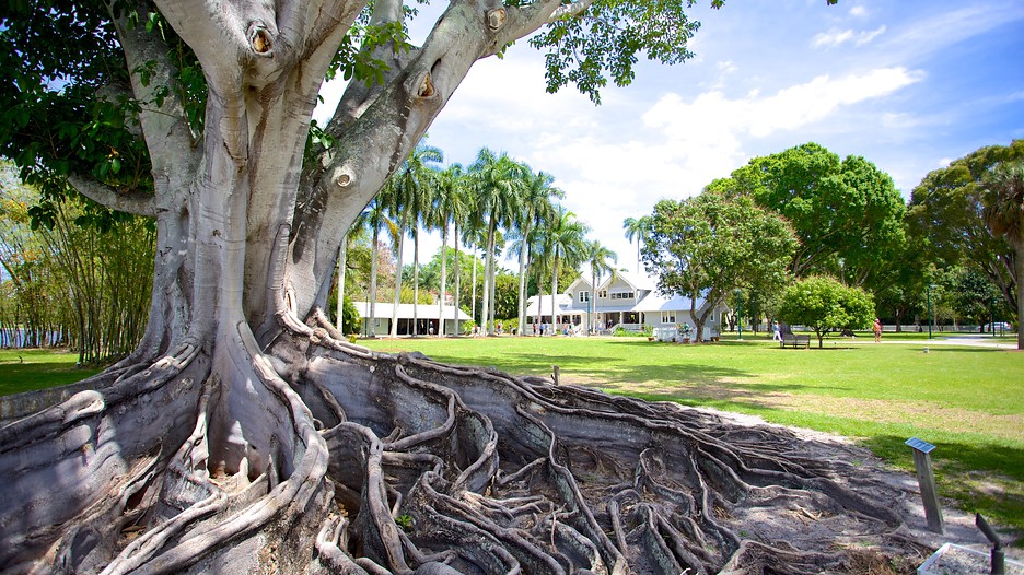 Edison ford winter estates foundation #7