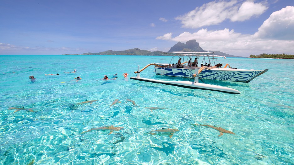The Best Bora Bora Vacation Packages 2017 Save Up To C590 On Our 