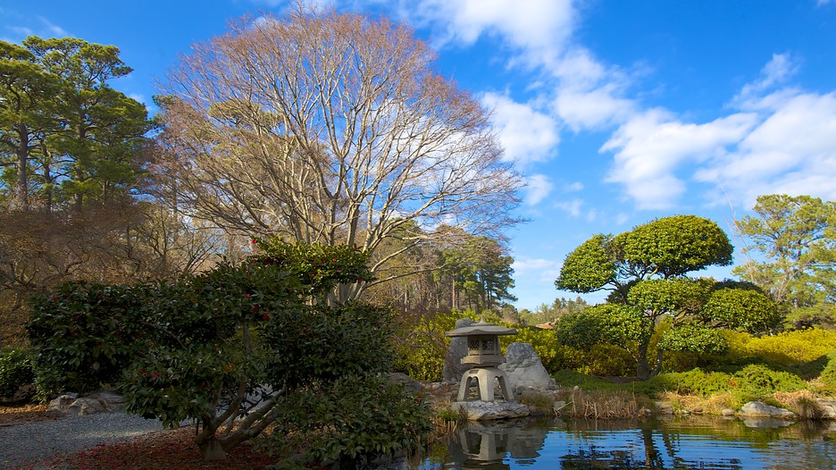 Norfolk Botanical Garden in Norfolk, Virginia Expedia