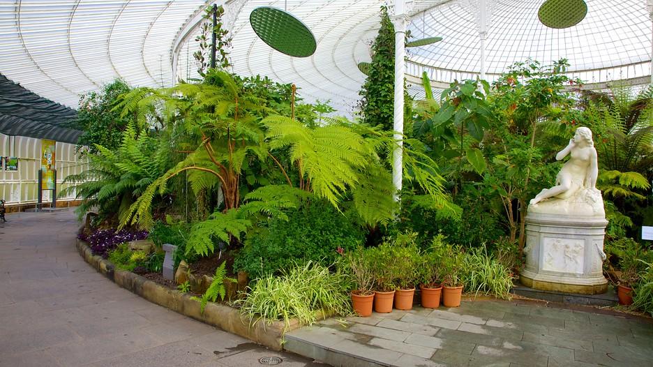 glasgow botanic gardens