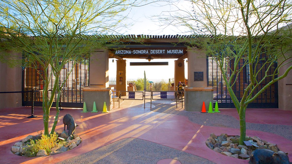 Sonoran Museum Of Natural History Sonoran Museum Of Natural History