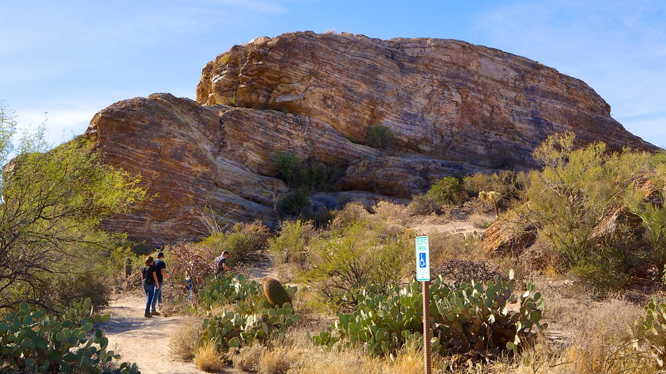 Last Minute Hotel Deals Tucson Last Minute Hotel Deals Tucson