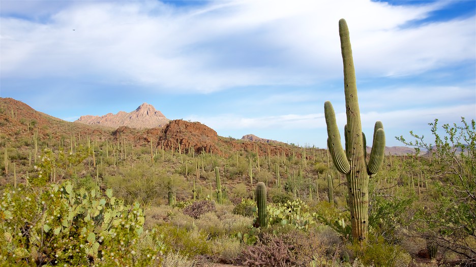 tourism tucson arizona vacations tourism tucson arizona vacations