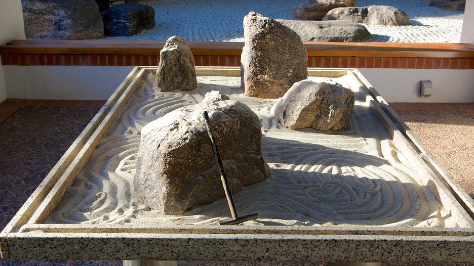 Tucson Botanical Gardens in Tucson, Arizona Expedia