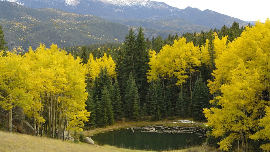 Mueller State Park in Divide, Colorado Expedia