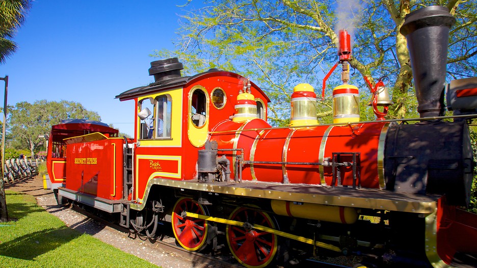 Busch Gardens in Tampa, Florida | Expedia