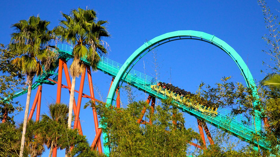 Busch Gardens 30974