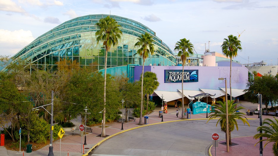 Florida Aquarium in Tampa, Florida Expedia