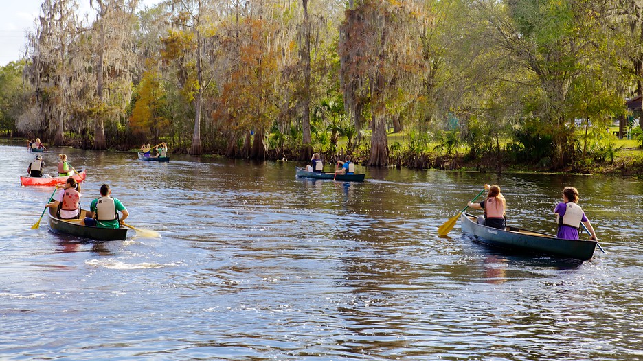 Lettuce Lake Park in Tampa, Florida Expedia