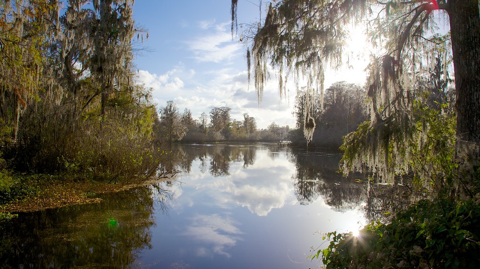 Lettuce Lake Park in Tampa, Florida Expedia