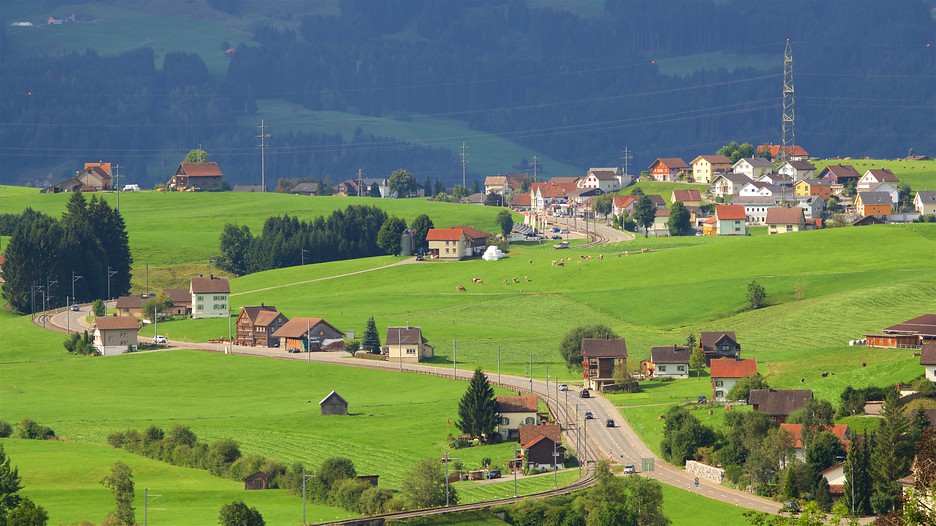 Swiss package deals