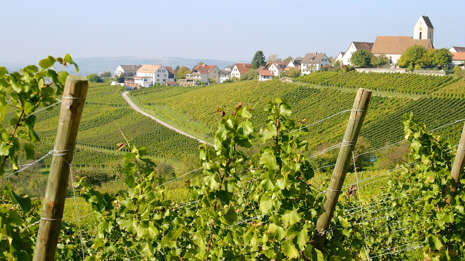 Partnersuche weil am rhein