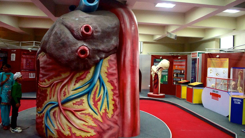 Pushpa Gujral Science City Jalandhar, Attraction