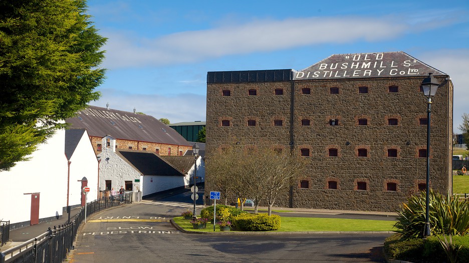 Old Bushmills Distillery in Bushmills, Northern Ireland Expedia