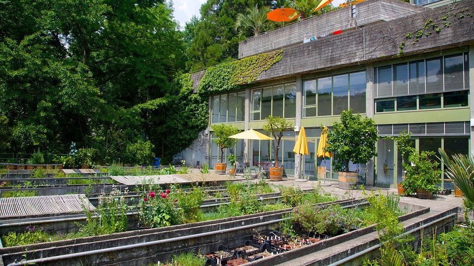 Botanical Garden Bern, Attraction