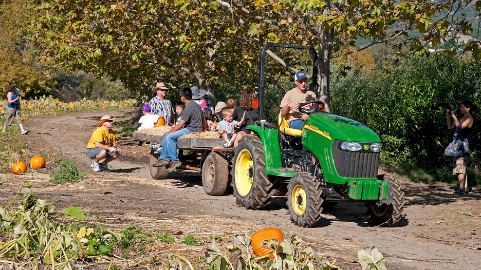 san luis obispo hook up Pair a local paso robles or san luis obispo wine, while indulging in the county's these roadshow experiences feature a large destination tent that is set up at. san luis obispo hook up Pair a local paso robles or san luis obispo wine, while indulging in the county's these roadshow experiences feature a large destination tent that is set up at.