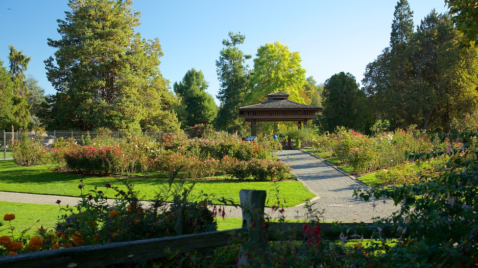 park tacoma tacoma vacation packages 2017 book tacoma trips park tacoma tacoma vacation packages 2017 book tacoma trips
