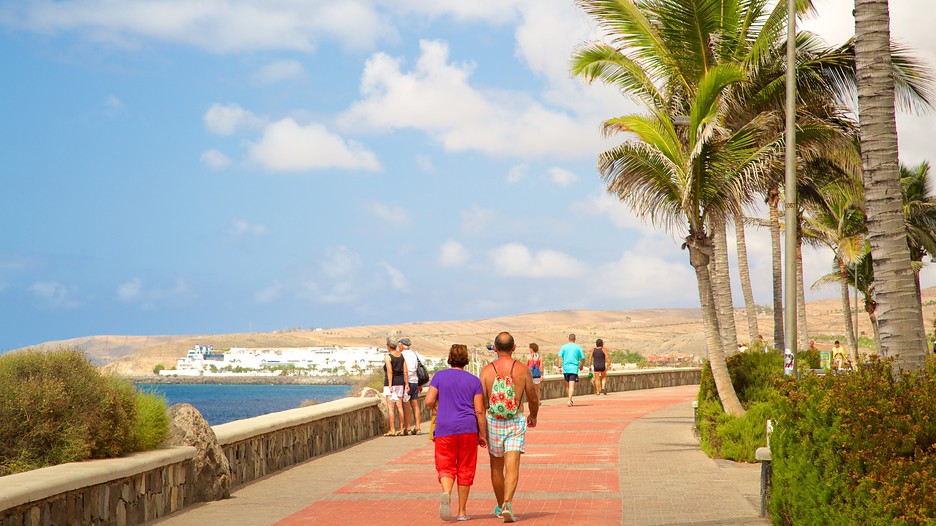 Viajes Baratos a Gran Canaria Vuelo mas Hotel Gran Canaria Expedia Viajes Baratos a Gran Canaria Vuelo mas Hotel Gran Canaria Expedia