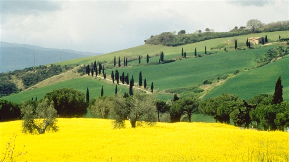 Siena Vacations 2017 Package & Save up to 603 Expedia