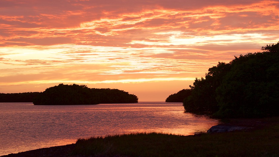 Florida Travel And Tourism Guides Florida Travel And Tourism Guides