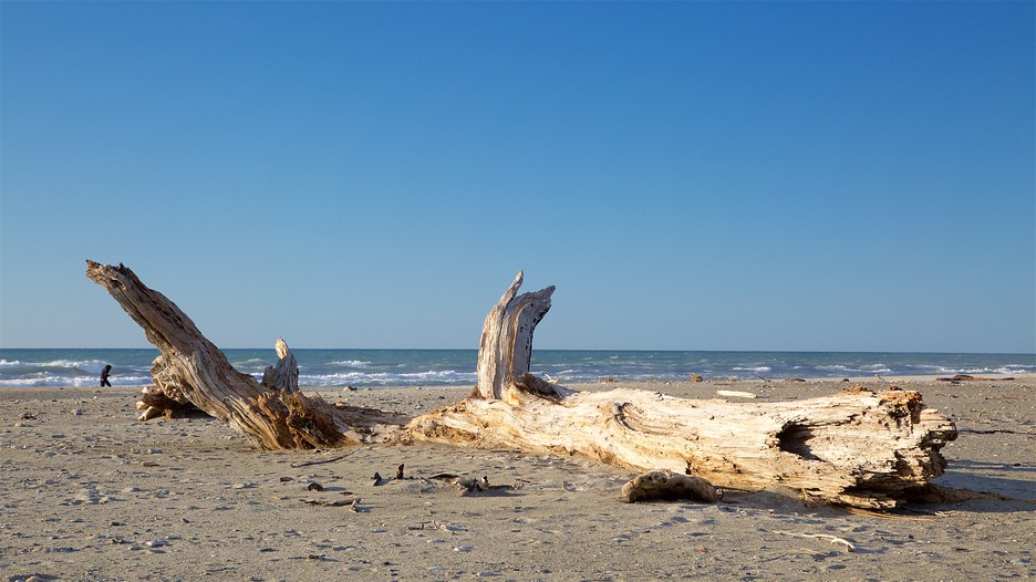 West Coast New Zealand 180895