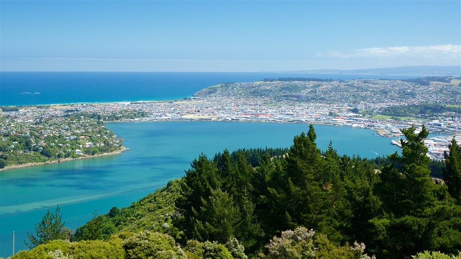 Cheap Hotels Dunedin Cheap Hotels Dunedin