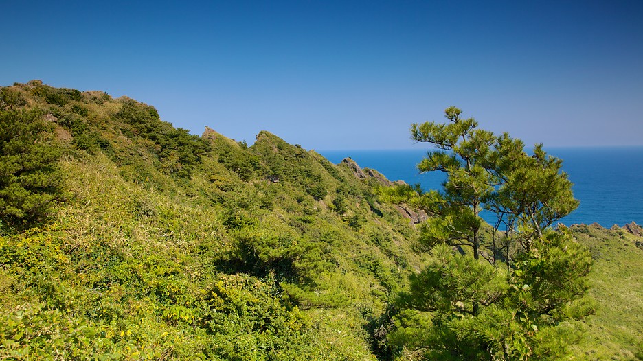 Jeju Island Vacations: Package amp; Save up to $570 Expedia Jeju Island Vacations: Package amp; Save up to $570 Expedia