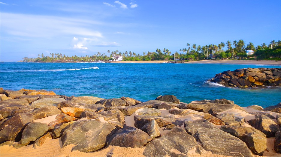 how do i spend my holiday in sri lanka A complete two-week sri lanka itinerary on how to get the most out of your trip we hope you find this guide helpful in planning your trip to sri lanka several nice boutique hotels in galle fort if you want to spend the night. how do i spend my holiday in sri lanka A complete two-week sri lanka itinerary on how to get the most out of your trip we hope you find this guide helpful in planning your trip to sri lanka several nice boutique hotels in galle fort if you want to spend the night.