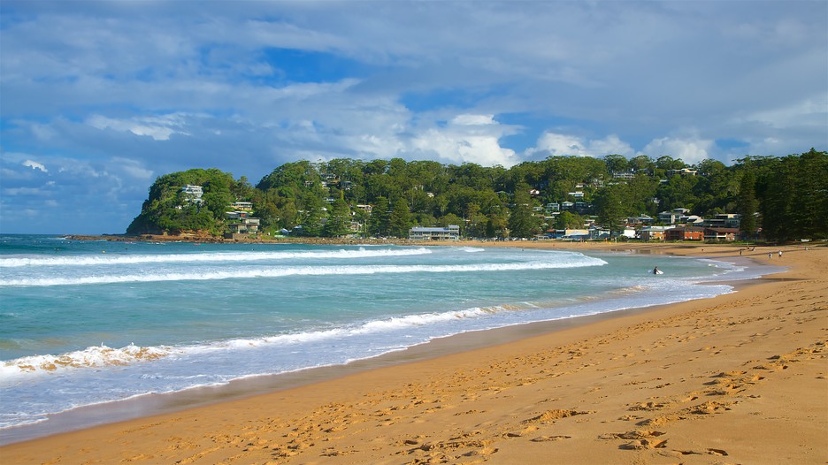 Avoca Beach Hotel Avoca Beach Hotel