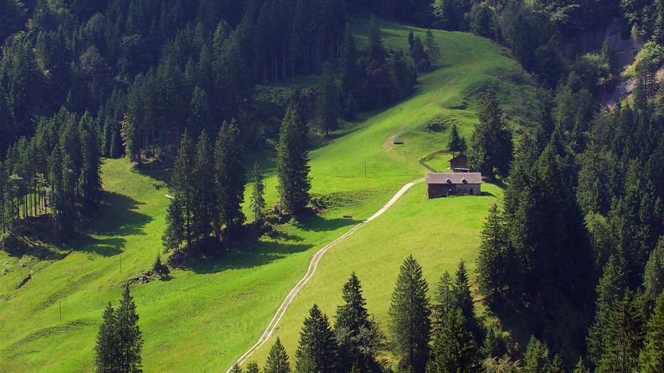Swiss package deals