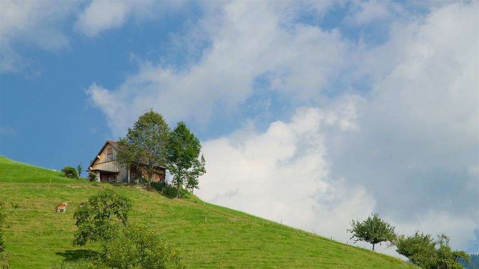 Swiss package deals