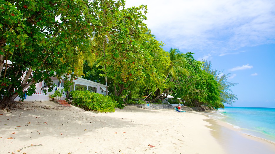 Mullins Beach in Speightstown, | Expedia.ca