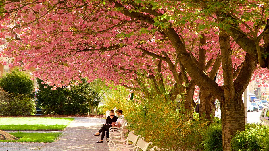 Volo+Hotel in Repubblica Ceca Viaggio in Repubblica Ceca Expedia.it