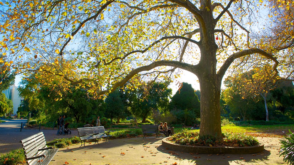 Adelaide Botanic Gardens Adelaide, South Australia Attraction