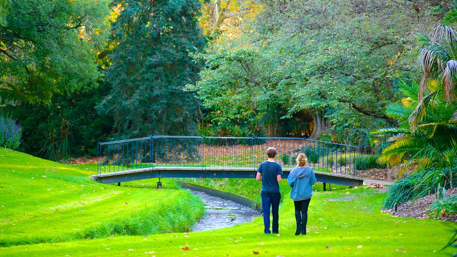 Adelaide Botanic Gardens Adelaide, South Australia Attraction