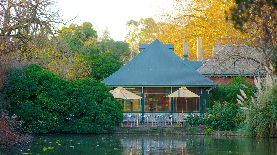 Adelaide Botanic Gardens Adelaide, South Australia Attraction