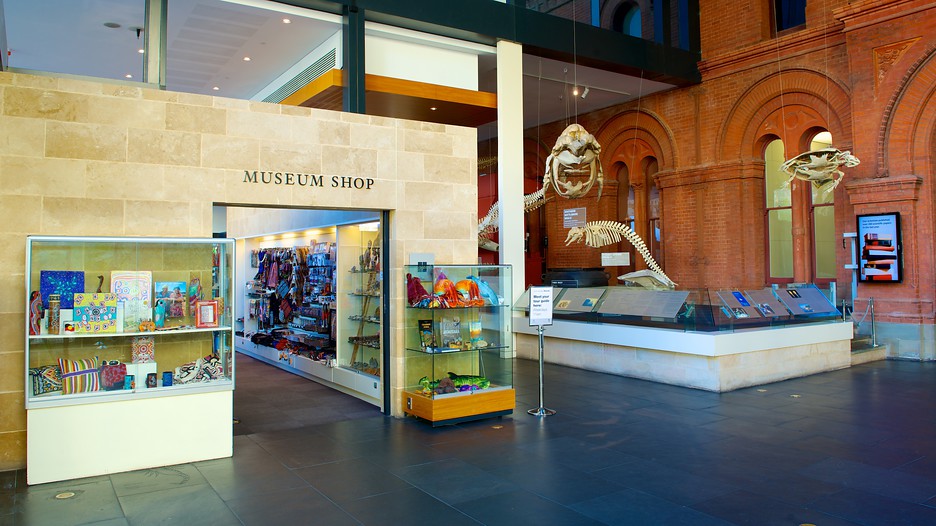 South Australian Museum - Adelaide, South Australia ...