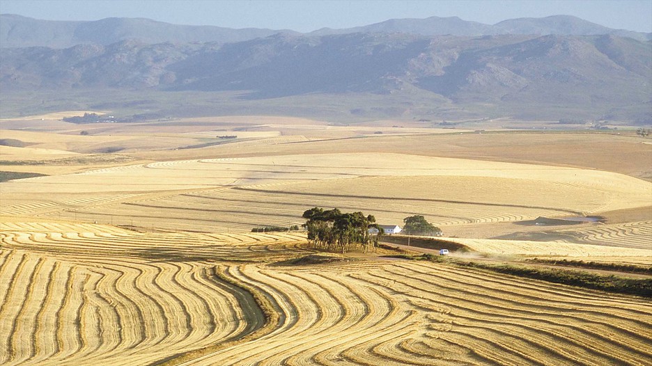 Groupon travel deals western cape