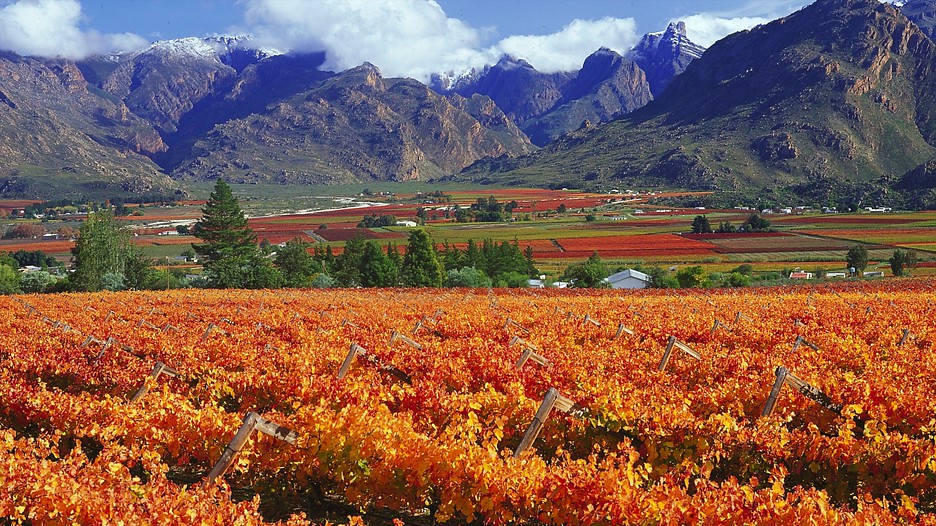 Vacation deals in western cape