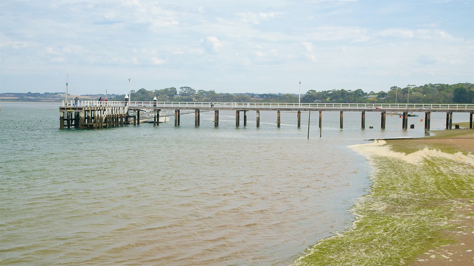 Last minute hotel deals phillip island