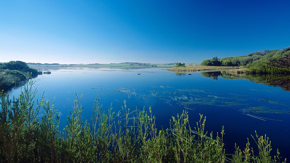 Last minute hotel deals phillip island