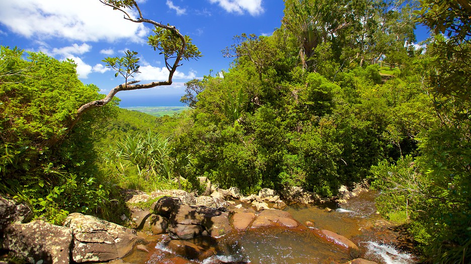 Black River National Park in Chemin Grenier, Expedia.ca