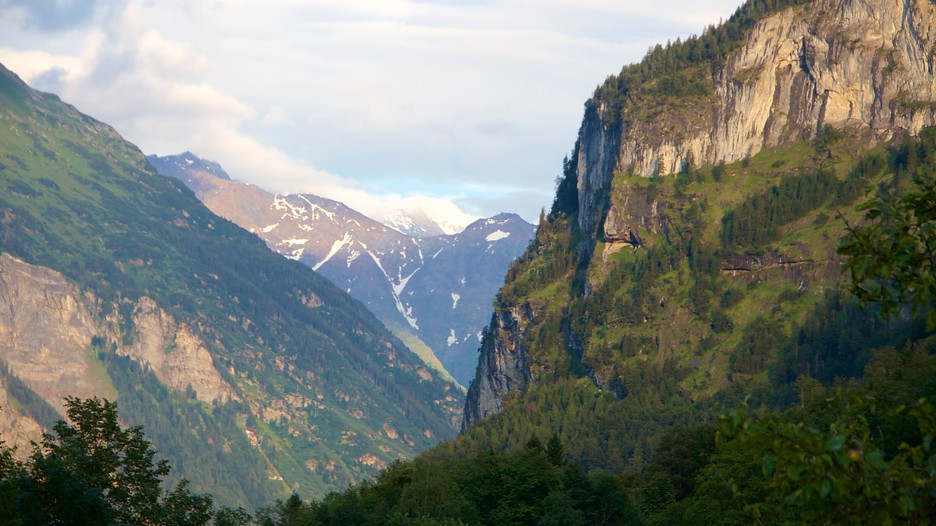 Swiss package deals