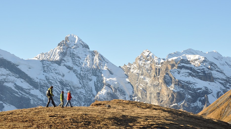 Swiss package deals