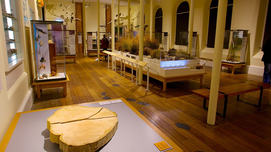 Tasmanian Museum and Art Gallery Hobart, Tasmania Attraction