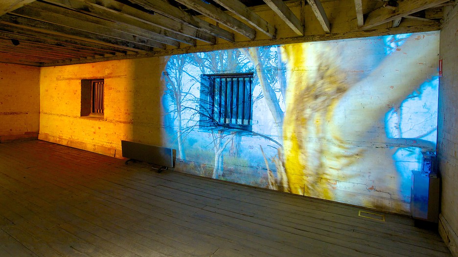 Tasmanian Museum and Art Gallery Hobart, Tasmania Attraction