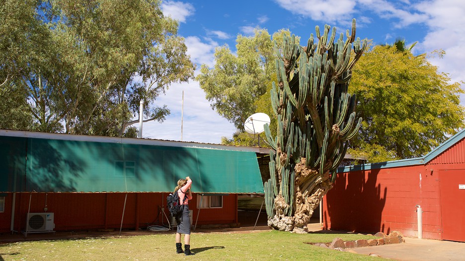Cheap deals alice springs